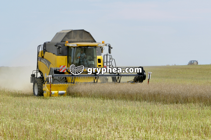 Moisson du Colza - gryphea.org